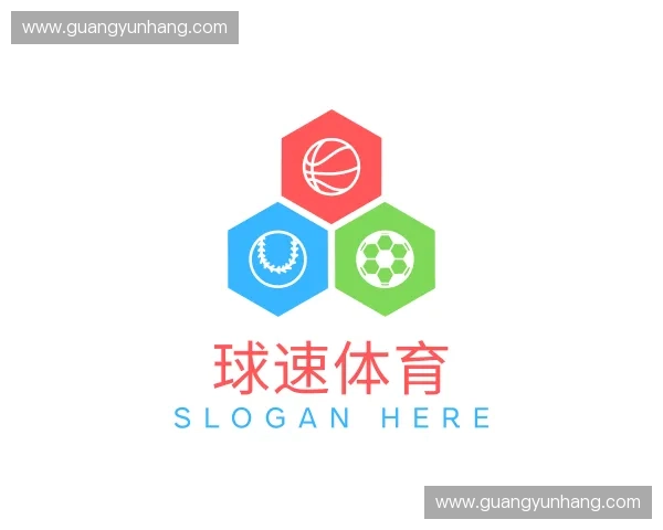 纵览球速体育官网